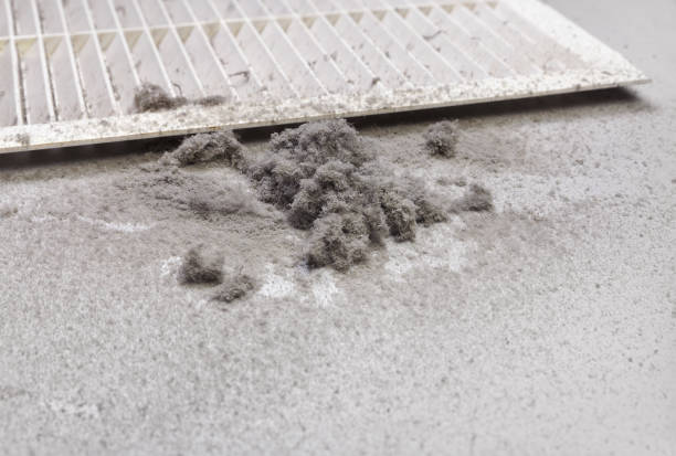 Best HVAC Duct Inspection Services  in Wymore, NE